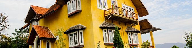 Expert Witness Expert Witness